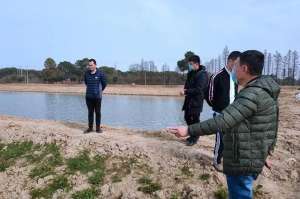 看江苏高手养殖青虾(江苏省青虾育苗团队和江宁基地到塘口指导春季青虾生产养殖)