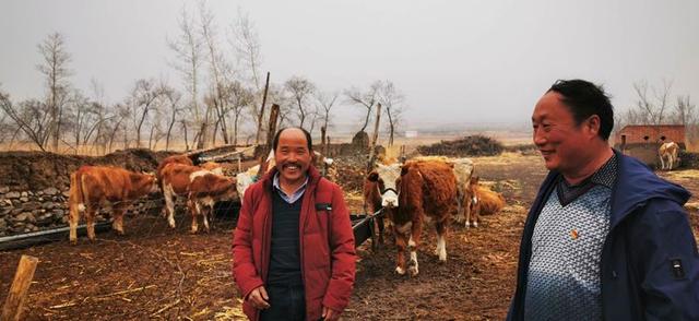 赤峰市巴林左旗十三敖包镇：肉牛产业筑牢富民根基