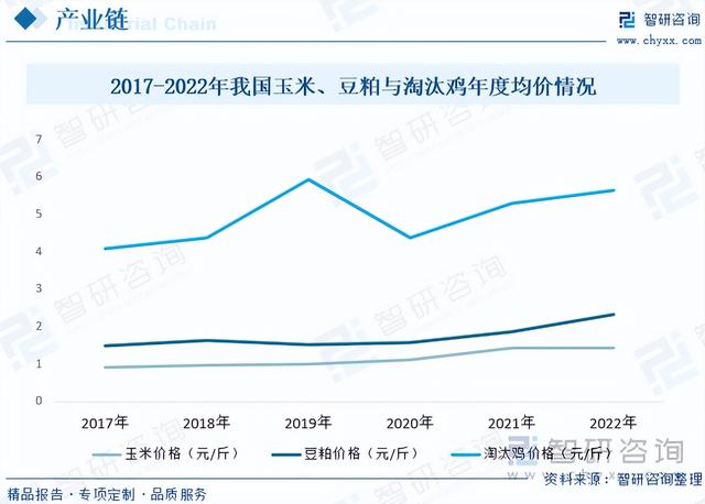 【前景趋势】一文读懂2023年蛋鸡养殖行业未来发展前景