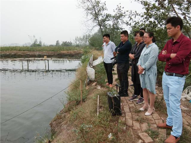 临泉这个镇：各种产业扶贫加快脱贫步伐