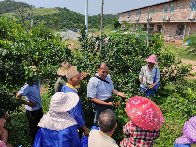 “科普进乡村，喜迎二十大”——邕宁区科协开展科普助力乡村振兴活动