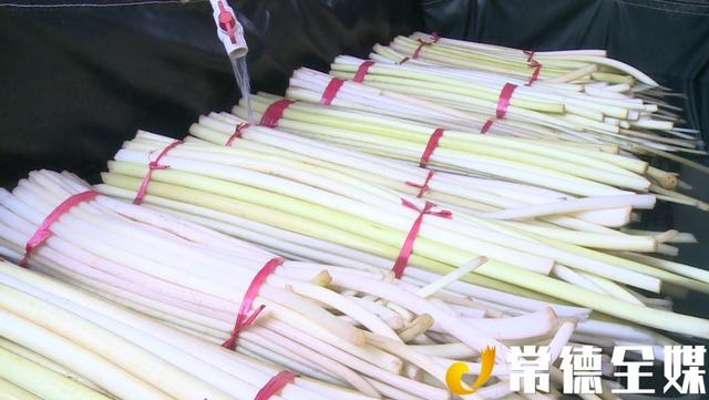 汉寿种植了4000多亩鸡禾梗，村民增收不少