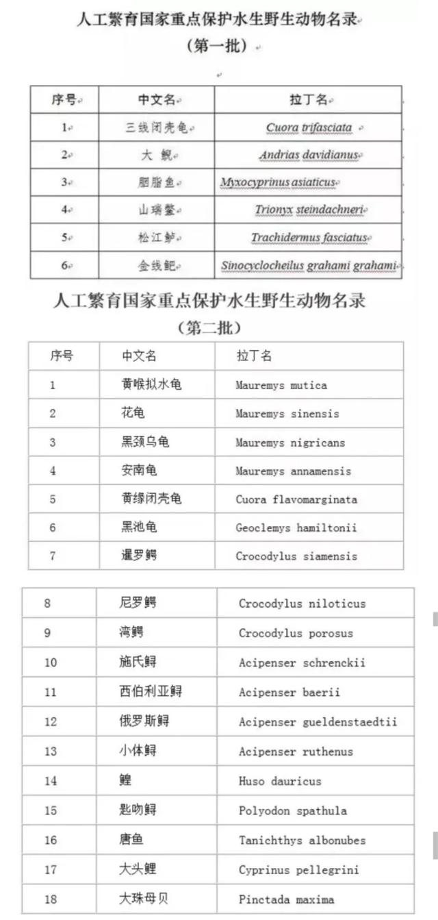 鳄鱼、中华鳖、乌龟按照水生动物管理！农业农村部发布通知