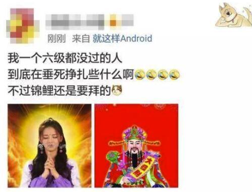 全国都在转锦鲤，这条鱼有什么故事？