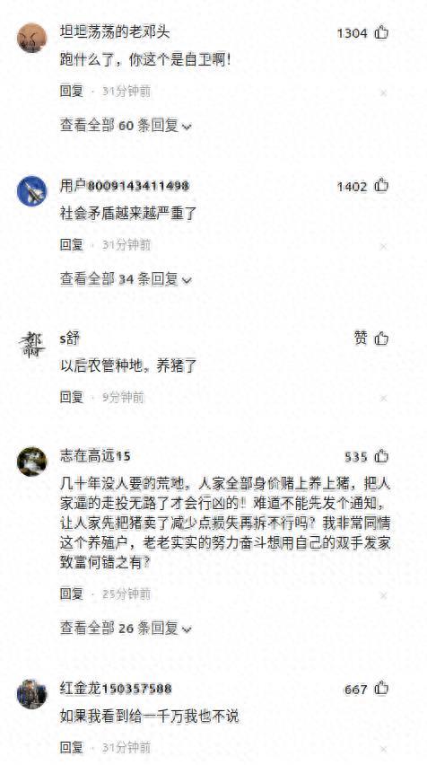 冤假错拆！60城管强拆40万猪场，3人遭枪击，后续震撼！