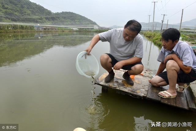 对所有养殖户都非常重要的水体硬度，你知道吗？