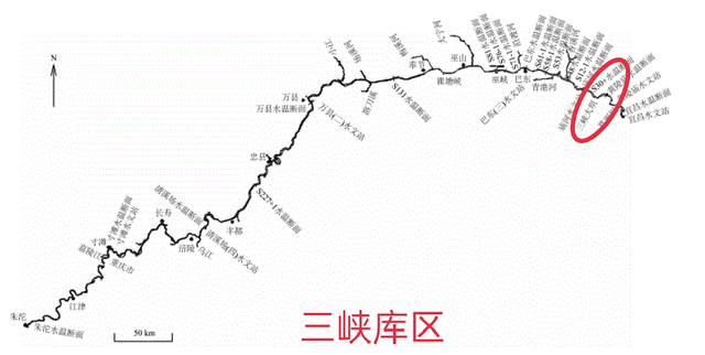 10℃是防线！非洲鲫鱼侵入三峡水库，6个月可繁殖1代，会泛滥吗？