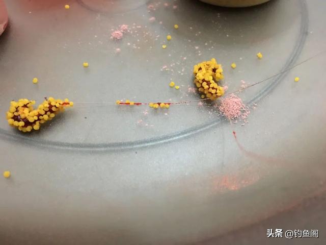 钓鲫鱼什么饵料最好用？别迷信商品饵，上鱼才是王道