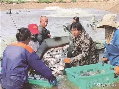 大同市灵丘县下北泉村：冷水鱼养殖助力山区经济发展