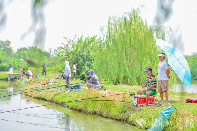 应城稻香飘八方