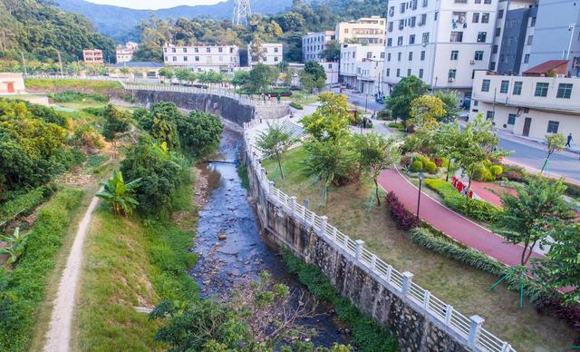 鸟飞鱼跃水草丰，水清岸绿游人来