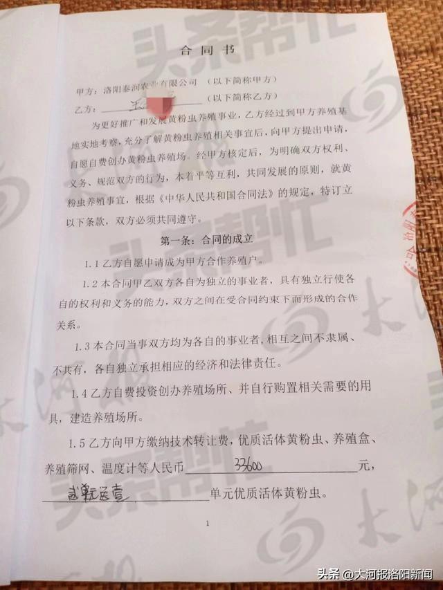 洛阳一农户养殖黄粉虫后收购价太低要求退款 厂家：市场价不可控，可以协商退部分款项