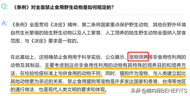 禁食猫狗！深圳“禁野令”5月1日起正式实施！倍内菲带你看