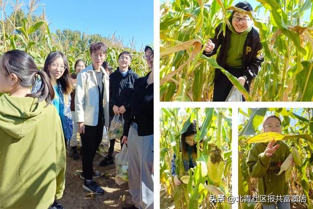 窦店村与北京大学外国语学院共建“思想政治实践课教育基地”！北大学生到窦店村开展新时代劳动教育活动