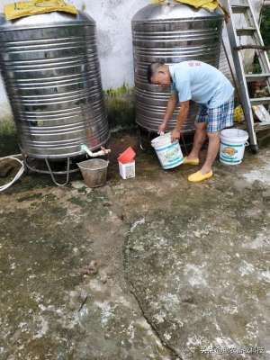 广西助农发酵床养殖(防城港市这家猪场用益生菌+中草药复养成功上了电视台，效益很好)