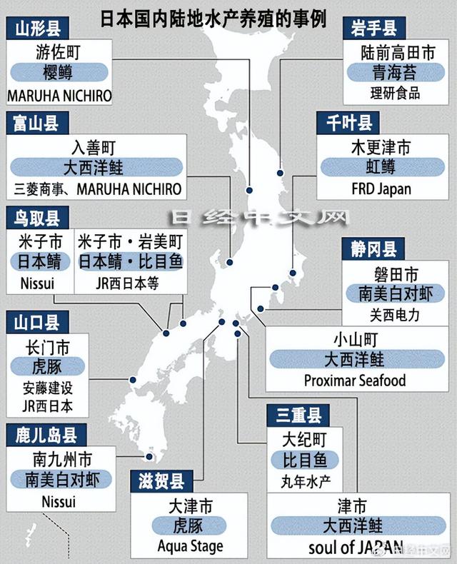 日本把渔业做成“工业”,陆地养殖水产