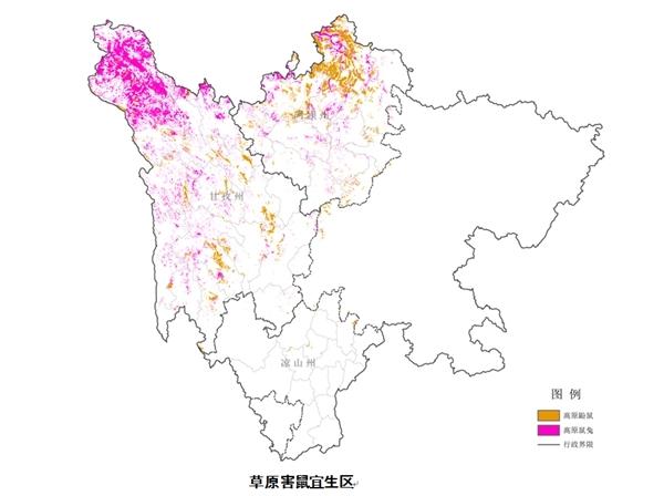 四川预测草原鼠虫害发生趋势：鼠害严重危害面积较上年减少6.1%