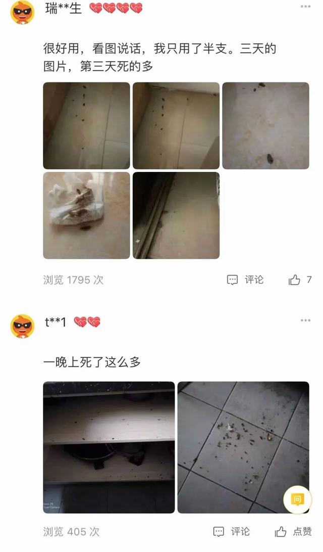 蟑螂最怕它，把它放在墙角，蟑螂来一只死一只，一晚上就能灭干净