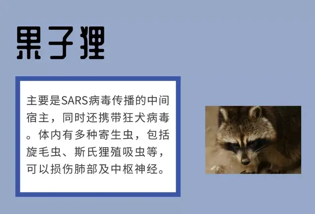 哪些动物最容易携带病毒？它们又是如何传染给人类的呢？