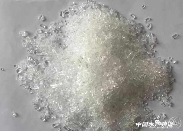 硫代硫酸钠和聚合氯化铝在水产养殖中的用途及使用方法