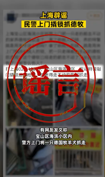 网传“上海警方上门抓走德牧”，当地通报详情