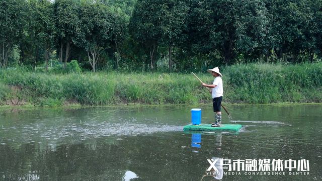 挖掘历史、引进项目......义乌这个村在蜕变！