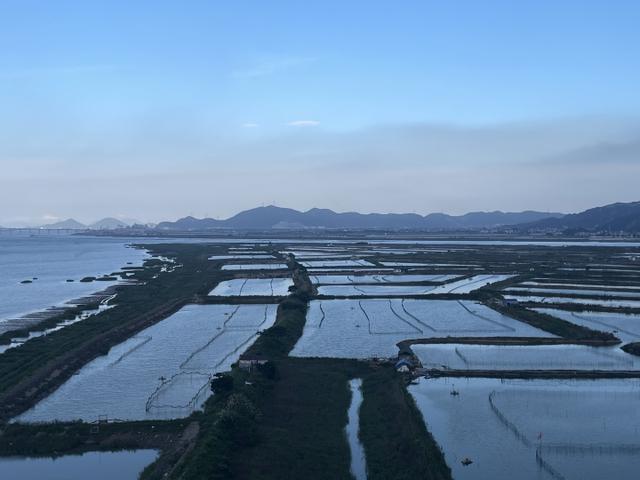 八爪竟在盐碱地“横行”，鲜哒哒的三门出圈，沿着丝路养青蟹