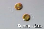 水产养殖经济生物饵料