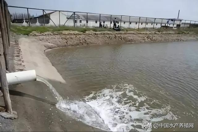 养殖户已很难，别再胡乱增加负担！尾水治理是趋势，但要科学合理