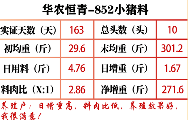 养猪精打细算，少不了称猪算账