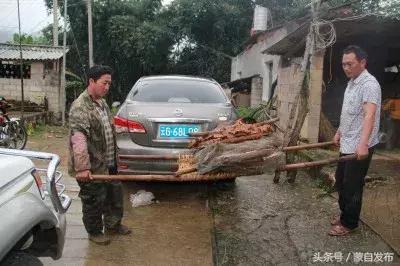 蒙自这群“fēng人”居然致富了！