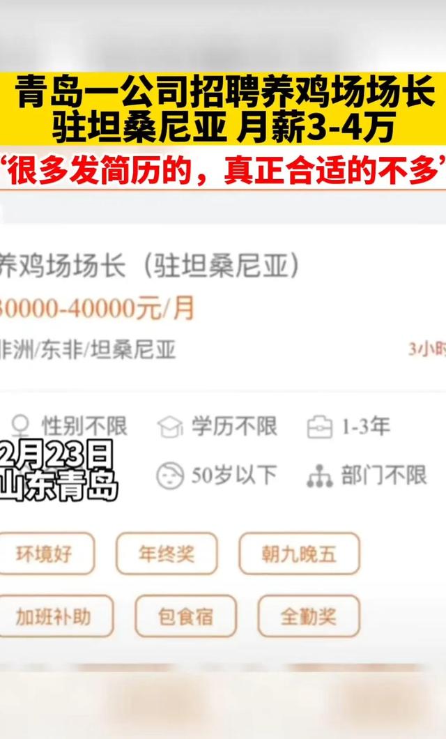 企业月薪4万招人去非洲养鸡，网友表示有点心动