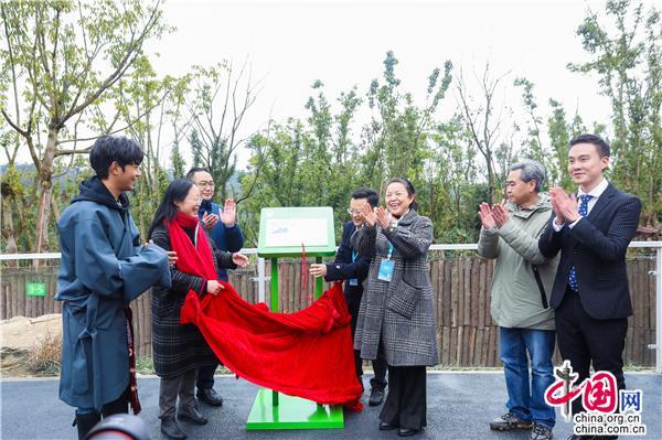 有一种“安逸”叫Panda 四川文旅吉祥物再升级