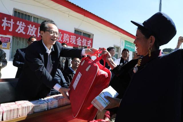 又到丰收时！若普村村民拿到附子收购现金 粮药融合推进乡村振兴新征程