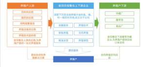 合同鸭养殖(从解决养殖户“融资难”切入，「舍羽农信」想用科技提升养殖能效)