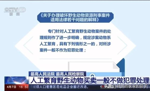 2022年4月9号开始，饲养人工繁育的鹦鹉，再也不会牢底坐穿了