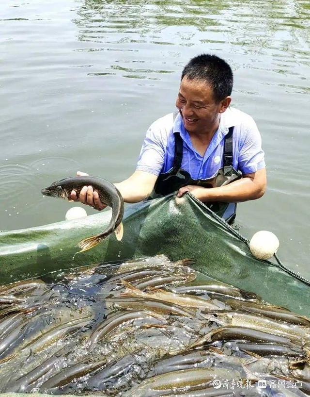 情报站丨捕捞归来鱼满仓！临沂“怪兽鱼”上岸，渔民喜笑颜开