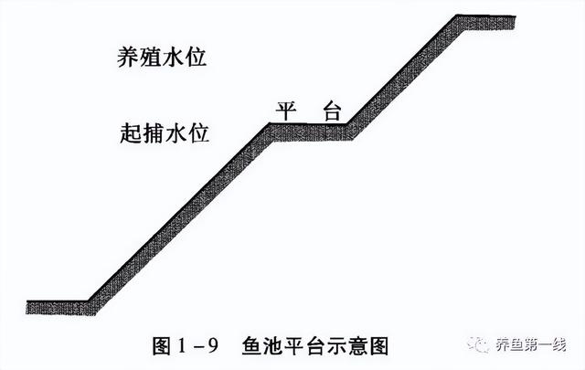 养殖池塘的规划与设计：价值多元的目标定位，提高效率的有效配置