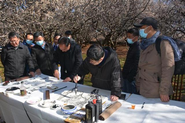 首届中国洱源梅花文化节举行