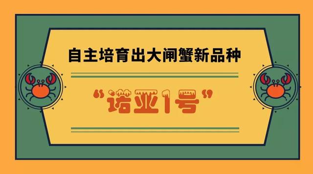 塘蟹养得赛湖蟹，还上过央视！“诺亚方舟”，你是怎么做到的？