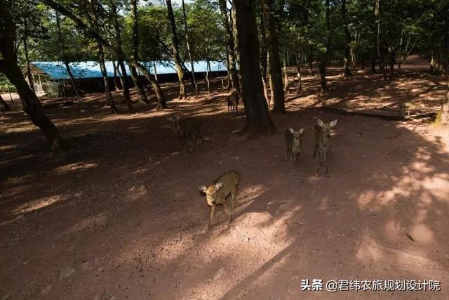 云南三国庄园规划，打造绿色立体生态经济的领头军