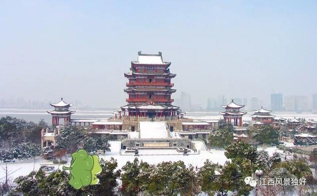 你们的“旅行青蛙”正在江西赏雪呢，快来江西把它领回家吧！