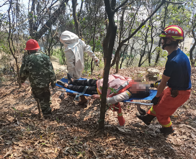 广西百色：村民扫墓遭马蜂袭击，消防快速救援