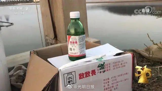 养海参用敌敌畏 水产品滥用农药背后有何漏洞？