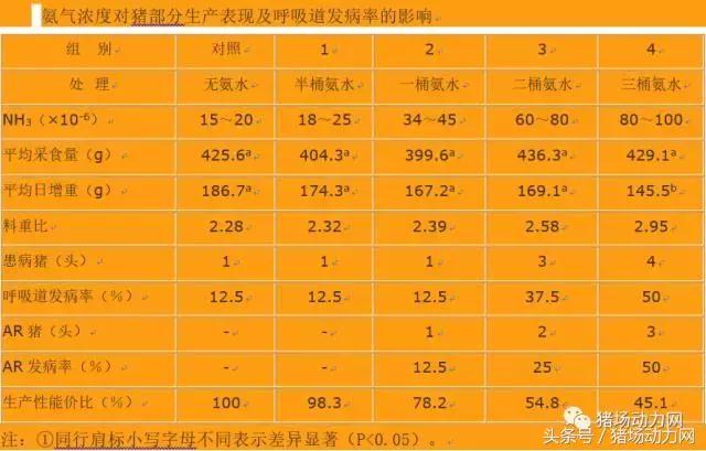 猪场选址也要讲“风水”，通风向阳、清洁饮水能减少猪群的发病率