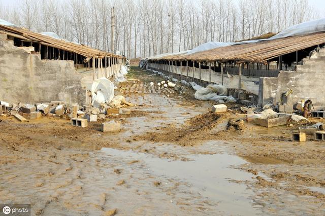 养殖场地的选择很重要，去年山洪带走4000斤青蛙，前车之鉴要注意