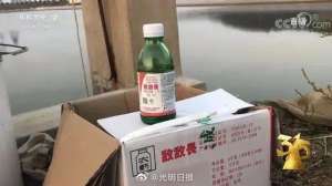 养殖海参 抗生素(养海参用敌敌畏 水产品滥用农药背后有何漏洞？)