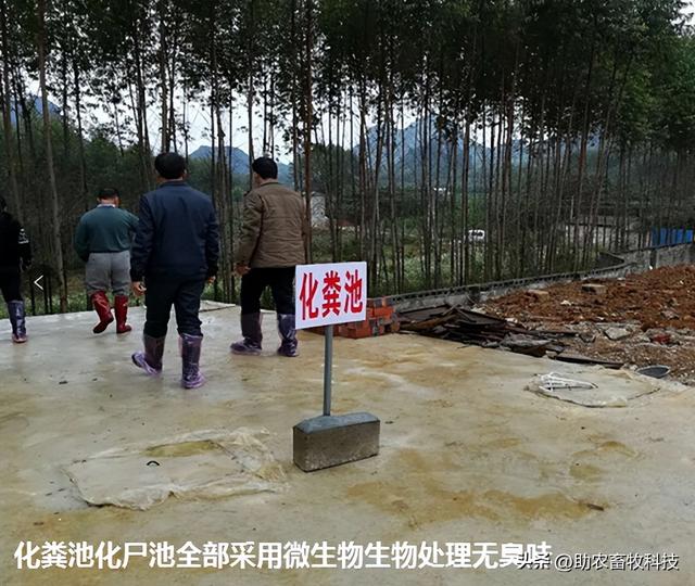 南宁市武鸣区用微生物技术走现代生态养殖路线，实现无污染的养殖