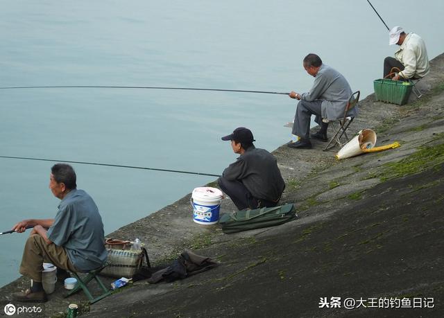 深秋做好这几点，更容易钓获营养美味的黄颡鱼