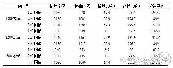 泥鳅小体积网箱养殖技术探索